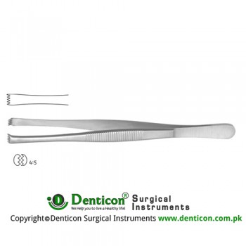 Stone Dissecting Forceps 4 x 5 Teeth Stainless Steel, 15 cm - 6"